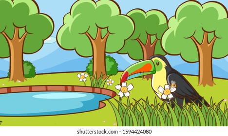 Scene with toucan bird in the park illustration