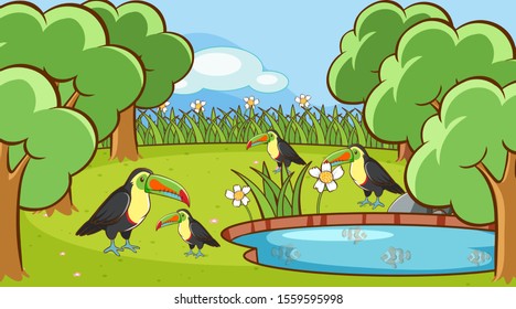 Scene with toucan birds in the park illustration