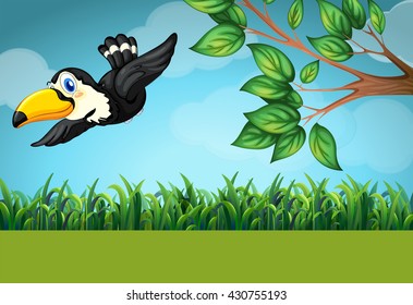 Scene with toucan flying in the field illustration