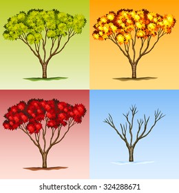 Baumszene in verschiedenen Jahreszeiten - Illustration