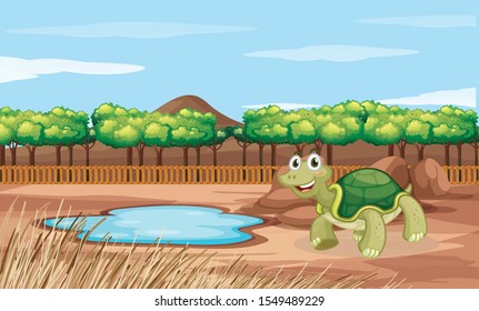 Scene with turtle in the zoo illustration