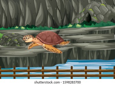 Scene with turtle in the zoo illustration