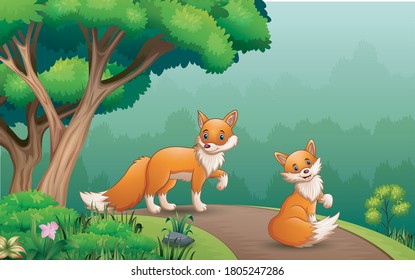 Scene with two fox on the road