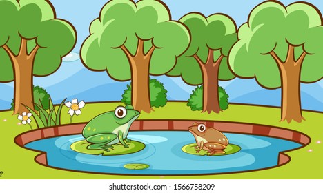 Escena con dos ranas en la ilustración del bosque