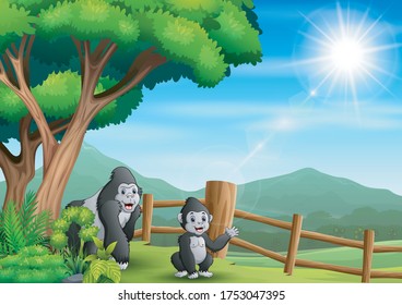 Scene with two gorilla in the zoo illustration