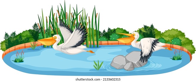 Scene with two pelican birds illustration