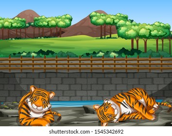 Scene with two tigers in the zoo illustration