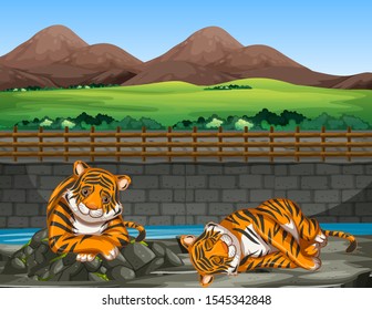 Scene with two tigers at the zoo illustration