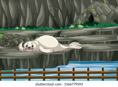 Scene with white seal at the zoo illustration