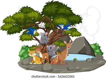 Scene with wild animals by the small pond in forest illustration