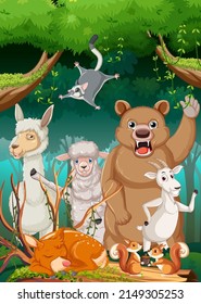 Scene with wild animals in the forest illustration