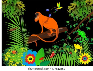  Scene of wildlife Howler monkey on jungle background