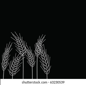 Scenery of a banner of cones of wheat