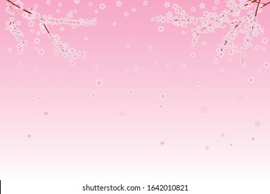 Scenery of cherry blossom petals falling