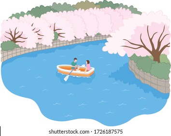 
Scenery with cherry blossom trees in full bloom