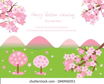 Scenery of cherry blossoms in full bloom
