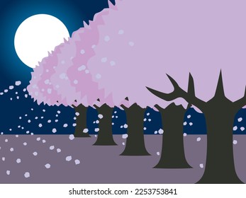 Scenery of cherry blossoms at night