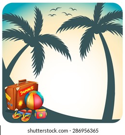Scenery of coconut tree shadow with accessories for summer vacation