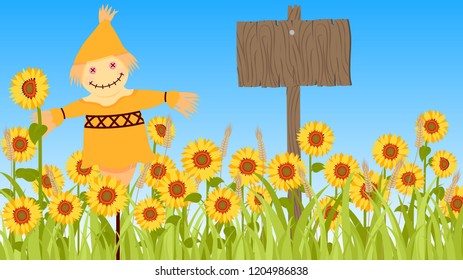 The scenery design of a sunflower field in the summer morning.