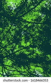 Scenery in green, underneath a thick ash foliage. Illustration of spring or summer in a forest, looking upward. Leaves filtering the daylight. Vector drawing.
