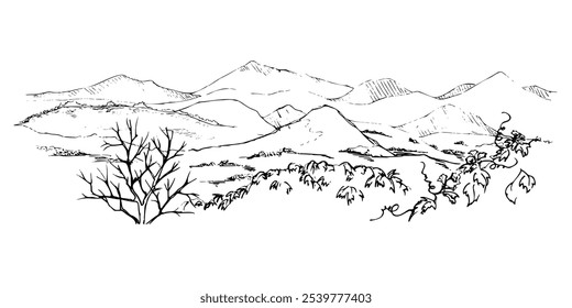 Paisagem paisagem de montanhas, planta de uva de hera folhas árvores, pastagem terra alpina vista mão desenhada em tinta, isolado no branco. Ilustração para turismo, anúncios de resorts, locais de acampamento para caminhadas, férias.