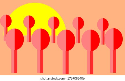 
the scenery in the morning with red trees when the sun starts to shine and rises