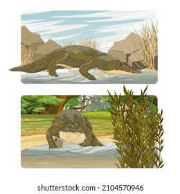 Scenery pack with Nile crocodile Crocodylus niloticus enters the lake. Shore of a shallow river with tree trunk, stones and bushes. Realistic vector landscape