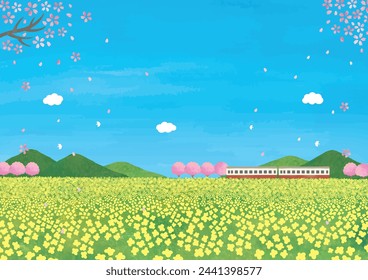 Paisaje de campo de flores de colza, cerezos y tren