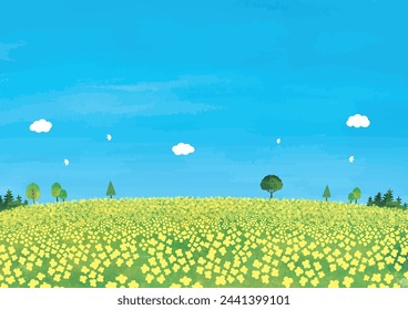 Scenery of rape blossoms field and trees