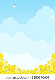 Scenery of rape blossoms in full bloom and blue sky
