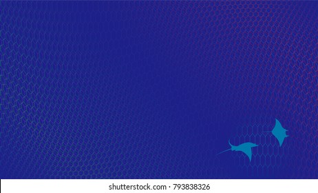 Scenery in the sea