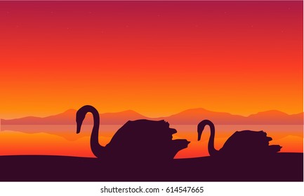 Scenery swan at sunset silhouettes vector illustration
