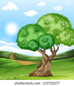 Escenario de un árbol en el campo de césped