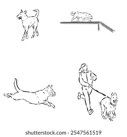 Cenas de treinamento de cães com personagens de desenhos animados do homem e seu animal de estimação aprendendo vários comandos