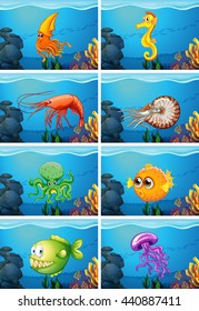 Scenes with sea animals under the sea illustration