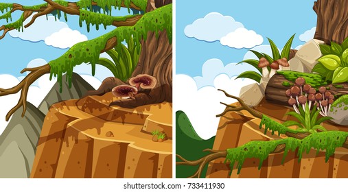 Szenen mit Bäumen auf der Cliff-Illustration