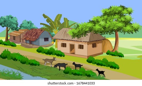 Scenes of the village goats are eating grass - illustration