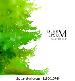 Scenic fir tree background
