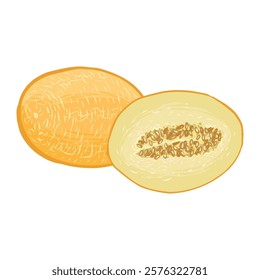 Scenic illustration of a juicy yellow melon. Template for design, vector