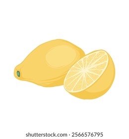 Scenic illustration of a yellow lemon. Broken fruit, set. Vector