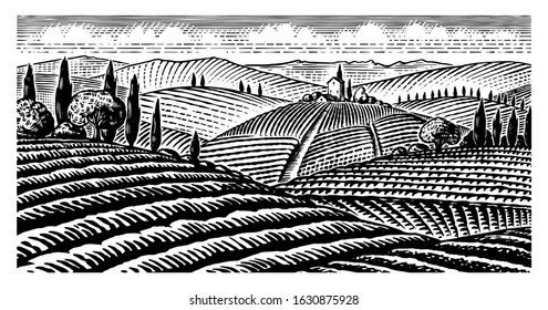 Scenic view of vineyards. Fields and hills of Tuscany. Panoramic vine plantation in Chianti. French or Italian engraved landscape. Hand drawn monochrome vintage horizontal sketch. 