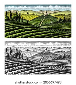 Scenic view of vineyards. Fields and hills of Tuscany. Panoramic vine plantation in Chianti. French or Italian engraved landscape. Hand drawn monochrome vintage horizontal sketch.