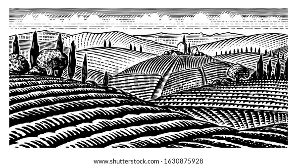 Scenic view\
of vineyards. Fields and hills of Tuscany. Panoramic vine\
plantation in Chianti. French or Italian engraved landscape. Hand\
drawn monochrome vintage horizontal sketch.\
