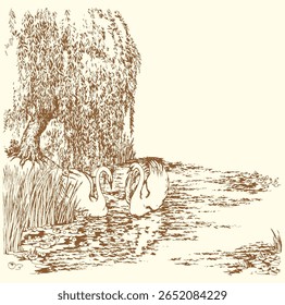 Scenic view wood cute rural light bill beak neck pet walk rest morn stream wave reed plant leaf text space. Outline black ink pen hand drawn old village even wed fly fauna retro cartoon line art style