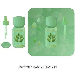 The scent and aroma of tea tree essential oil