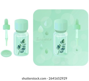 The scent of eucalyptus essential oil and the world of aroma
