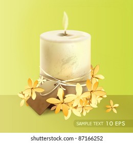 Scented candle among the flowers. Vector.