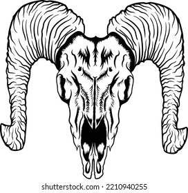 Schädelziegenkopf mit Horn
