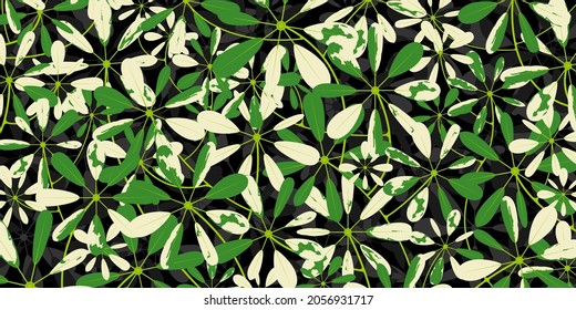 Schefflera actinophylla leaves background. Tropical leafs pattern design for packaging, print, Vector illustration.