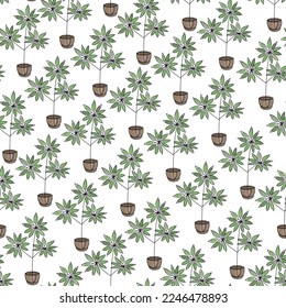 Hojas de palma de Schefflera dibujadas a mano sin costura. Un telón de fondo ingenuo al estilo escandinavo. Hojas tropicales y exóticas divididas. Papel de envolvimiento botánico, diseño plano textil. Ilustración del vector